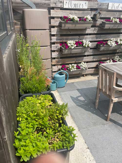 Q Studio Green Bed en Breakfast kamer