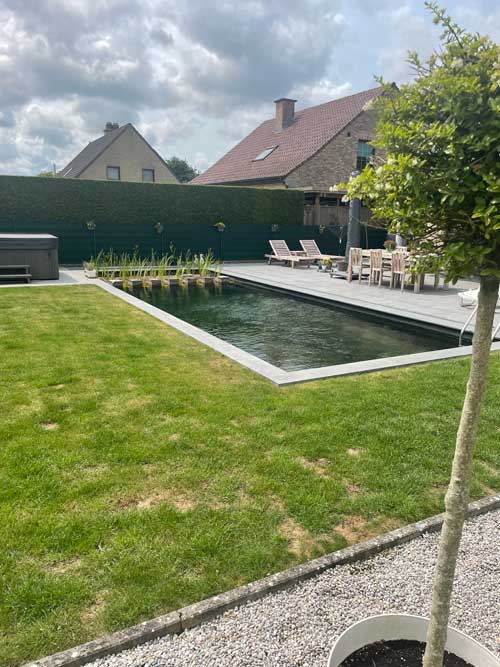Q Studio Green Bed en Breakfast kamer
