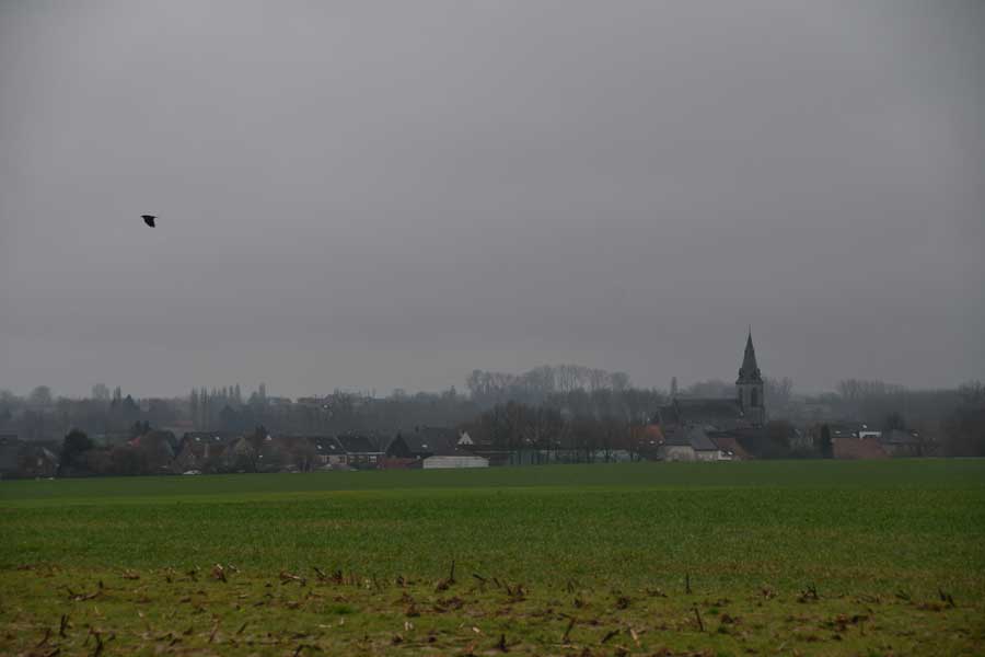 Omgeving